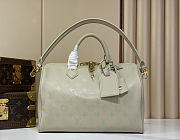 Louis Vuitton Speedy Soft 30 Private Sage - 30x21x17cm - 1